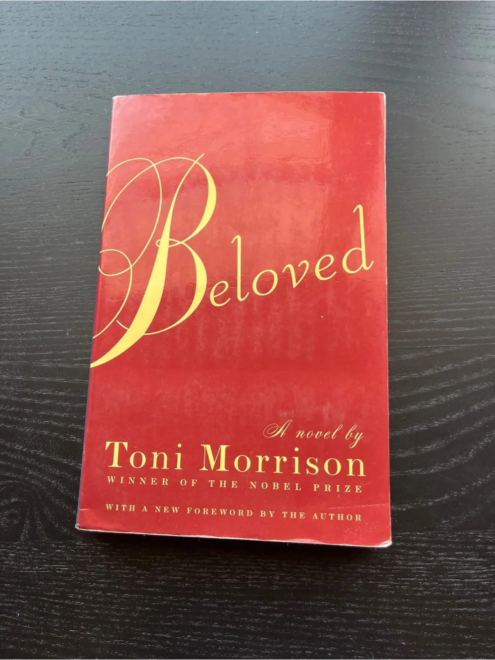 Vintage International Beloved Toni Morrison Paperback Red Book Approx 8 Inch